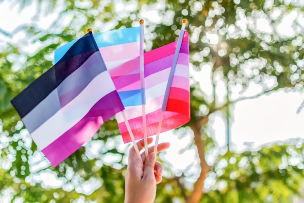 Weibliche Hand halten asexuelle Transgender- und Lesbenfahne Selektiver Fokus Gender queer