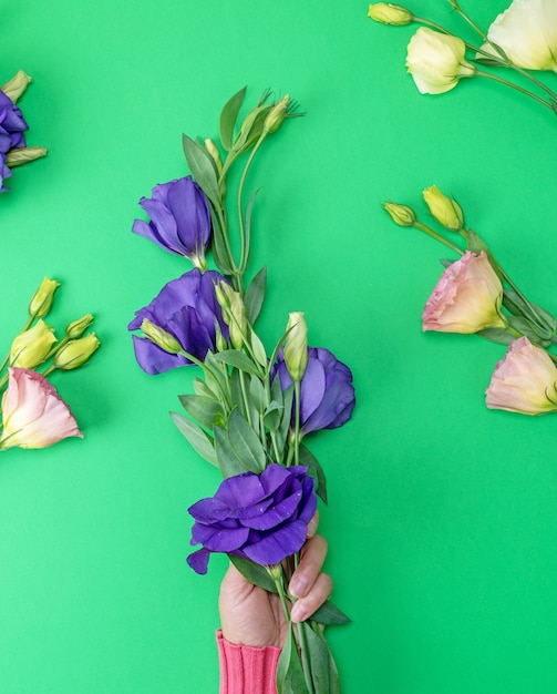 Weibliche Hand in einer rosa Strickjacke, die eine Niederlassung eines Blume Eustoma Lisianthus hält