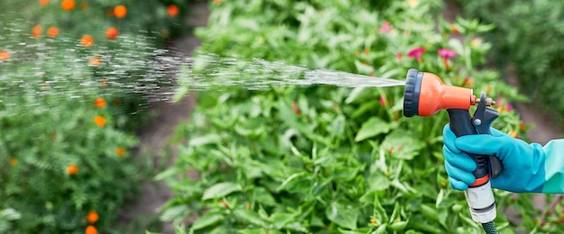 Weibliche Hand in Schutzhandschuhen, die Schlauchsprühdüse halten und Gartenbewässerung bewässern