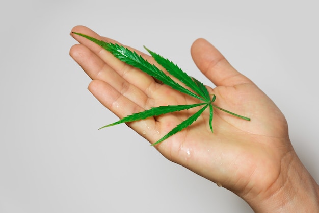 Weibliche Hand mit einem grünen Cannabisblatt auf grauem Hintergrund