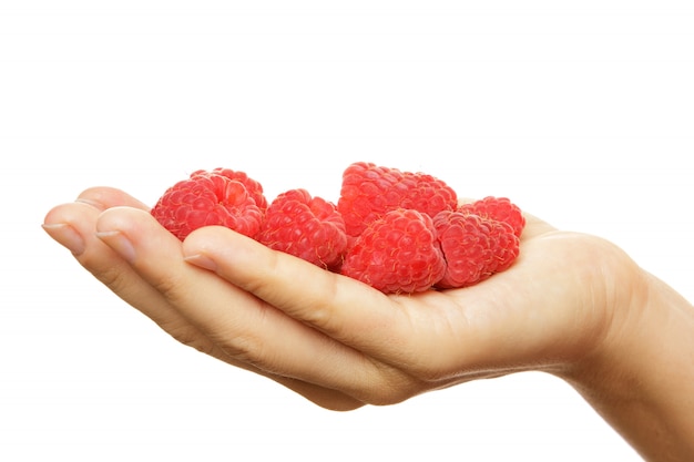 Weibliche Hand mit Himbeeren