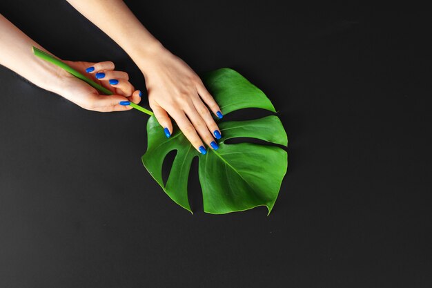 Weibliche Hand mit klassischer blauer Farbe nagelt Maniküre auf Monstera-Blatt. Kreatives Foto