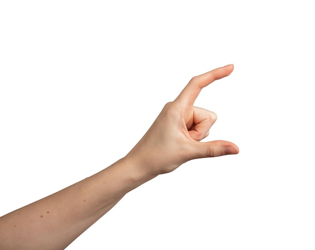Weibliche Handgestur, isoliert auf weißem Hintergrund, zeigt ein unsichtbares Objekt, die Handfläche offen, Konzept von