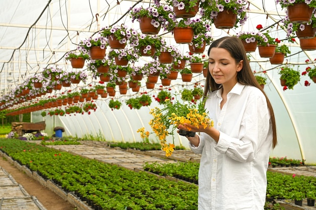 Weibliche Pflanzenladenbesitzerin, die mit Blumen im Gewächshaus arbeitet Kleinunternehmer und Pflanzenpflegekonzept