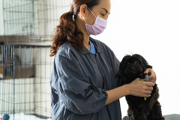 Weibliche Schnitthundenzehenägel im Schönheitssalon für Hunde