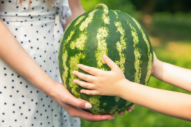 Weibliche und Babyhände halten eine ganze Wassermelone nah oben