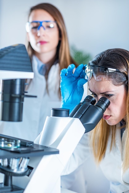 Foto weibliche wissenschaftler benutzen das mikroskop im labor