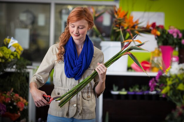 Weiblicher Florist, der Blumenstamm schneidet