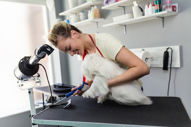 Weiblicher Groomer, der maltesischen Hund im Pflegesalon bürstet.