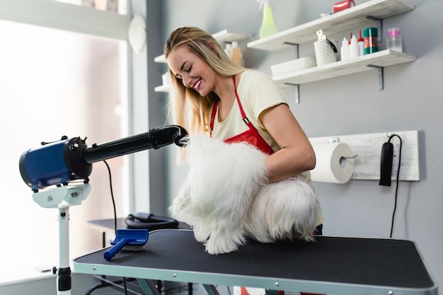 Weiblicher Groomer, der maltesischen Hund im Pflegesalon bürstet.