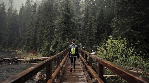 Weiblicher Wanderer, der auf die Holzbrücke führt in Richtung zum Wald geht