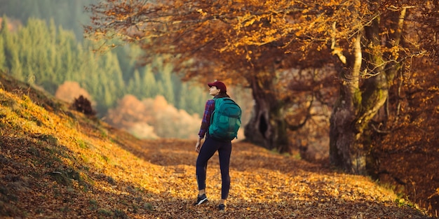 Weiblicher Wanderer, der unter den Strahlen der Morgensonne in der Bergwaldfrau wandert