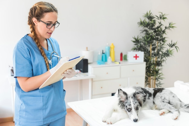 Foto weibliches tierarztschreiben auf klemmbrett mit hund auf tabelle in der klinik