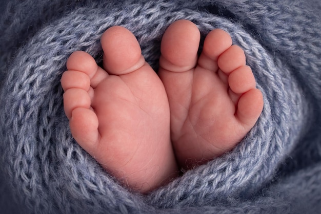 Weiche Füße eines Neugeborenen in einer graublauen Wolldecke Nahaufnahme der Zehen, Fersen und Füße eines neugeborenen Babys Der winzige Fuß eines Neugeborenen Studio Makrofotografie Babyfüße mit isoliertem Hintergrund bedeckt