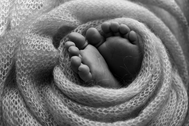 Weiche Füße eines Neugeborenen in einer Wolldecke Nahaufnahme der Zehen, Fersen und Füße eines Babys Der winzige Fuß eines Neugeborenen Babyfüße mit isoliertem Hintergrund bedeckt Schwarz-Weiß-Studio-Makrofotografie