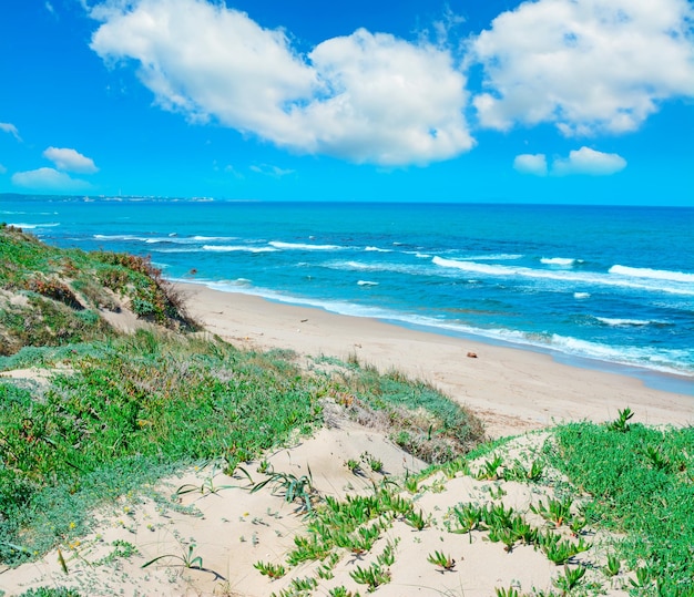 Weiche Wolken über dem Strand von Platamona Sardinien