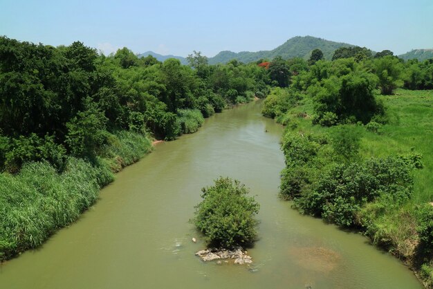 Weicher Fokus der schönen Aussicht auf den tropischen Wald und den Fluss mit Reflexion des klaren blauen Himmels im Sommer