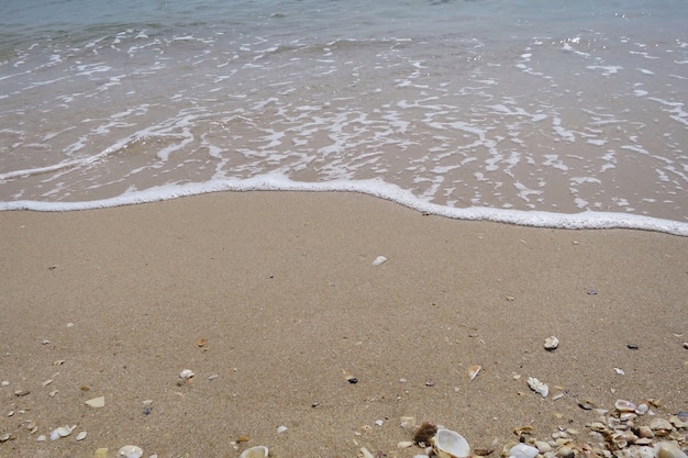 Weicher Fokus der Wellen schlagen am Strand mit Muschelfragmenten und Sonnenlicht im Sommer. Natur Hintergrundkonzept.