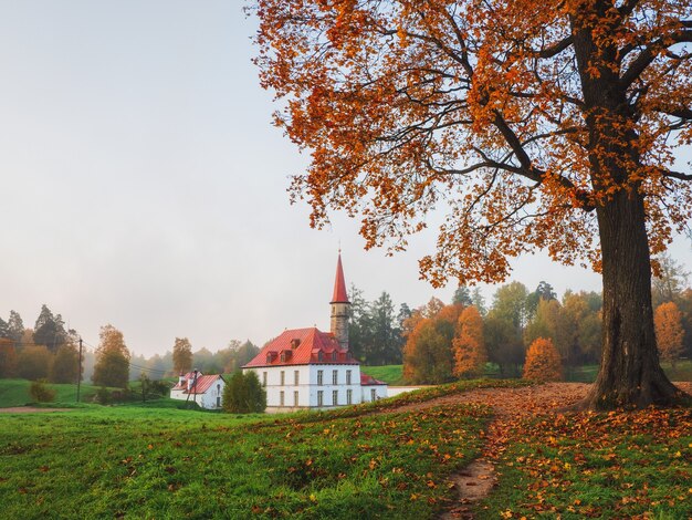 Weicher Fokus. Herbstmorgenlandschaft. Helle Herbstnebellandschaft mit goldenen Bäumen und altem Palast. Gatschina. Russland.