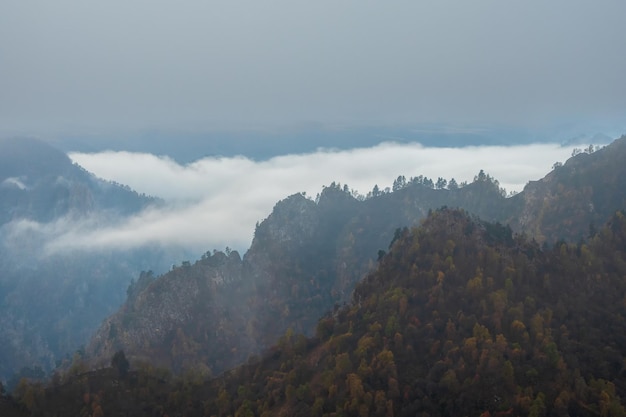 Weicher Fokus Kühler Morgennebel über den Waldberghängen