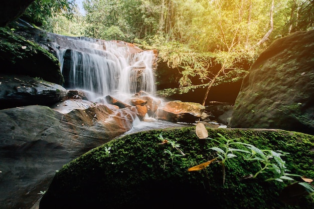 Weiches Wasser des Baches im Naturpark WIMAN THIP Waterfall Schöner Wasserfall im Regenwald