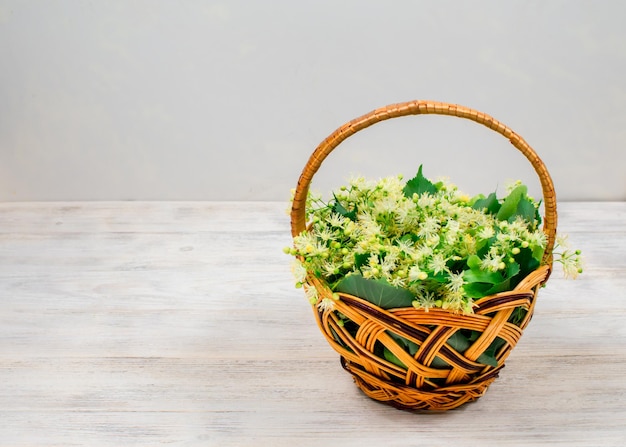 Weidenkorb mit Lindenblüten auf einem hölzernen Hintergrund Lindenblüten Platz für eine Inschrift Seitenansicht