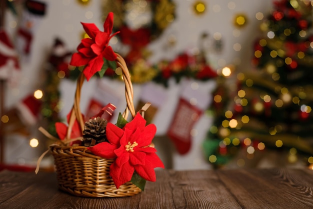 Weidenkorb verziert mit Poinsettia auf Holztisch und Weihnachtshintergrund