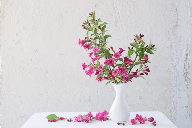 Weigela flores en jarrón blanco sobre pared blanca