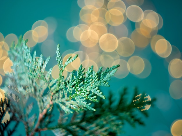 Weihnachten abstrakter Bokeh-Hintergrund mit Zweigen von Thuja. Weihnachtsbeleuchtung.