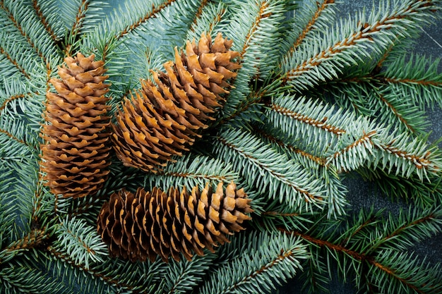 Weihnachten oder Neujahr. Großer Ast des Fit-Baumes mit Zapfen, Holzspielzeug und Schneeflocken.