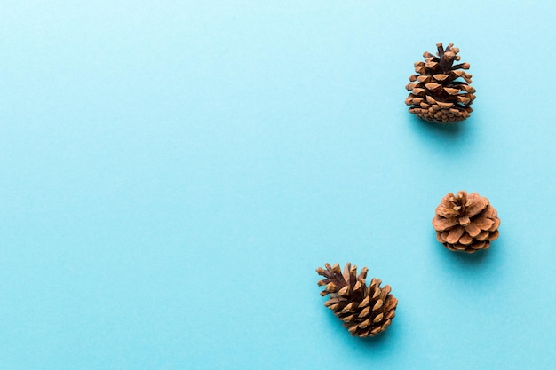 Weihnachten Tannenzapfen auf farbigem Papier Rand Zusammensetzung Weihnachten Neujahr Winterkonzept Flache Draufsicht Kopierraum