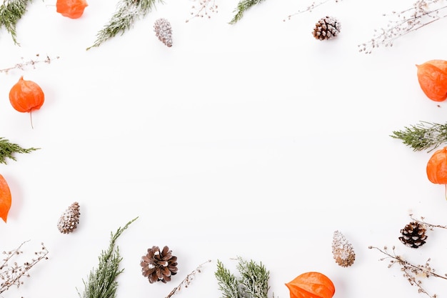 Weihnachts- oder Herbstkomposition Thuja-Zweigkegel im Schnee Physalis Draufsicht flach liegender Kopierraum