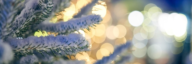 Weihnachtsbaum bedeckt Schnee mit gelben Girlandenlichtern und Bokeh-Kopienraum mit funkelndem Bokeh