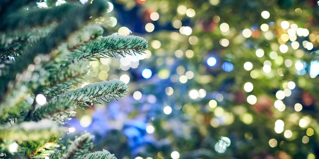 Weihnachtsbaum bedeckt Schnee mit gelben Girlandenlichtern und Bokeh-Kopienraum mit funkelnden Lichtern