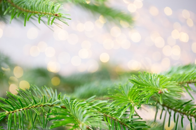 Weihnachtsbaum der Bokeh-Hintergrund. Weihnachtsgrußkartenhintergründe.