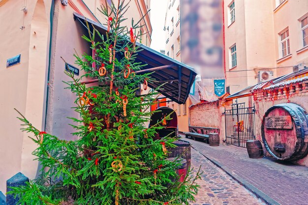 Weihnachtsbaum in den historischen mittelalterlichen Straßen, die im Winter zu Weihnachten geschmückt sind Riga in Lettland.