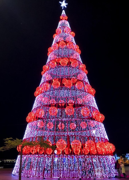 Weihnachtsbaum in Funchal, Madeira, Portugal, vertikales Foto