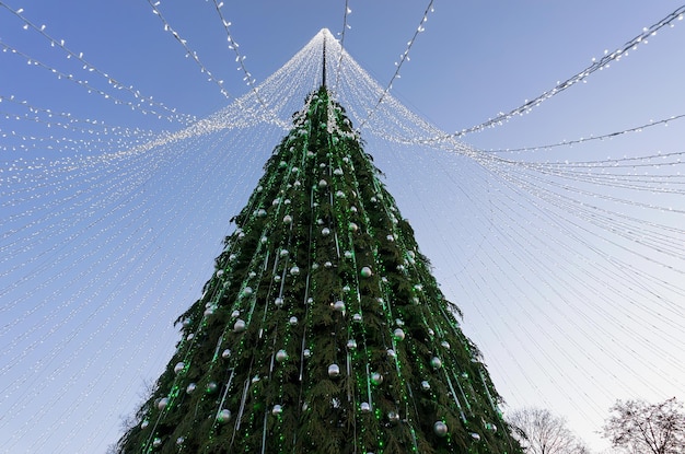 Weihnachtsbaum mit Dekorationsgirlanden auf dem Domplatz in Vilnius, Litauen. Es hat Lichterketten wie Brautschleier. Abends