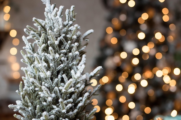 Weihnachtsbaum und Lichter - Hintergrund
