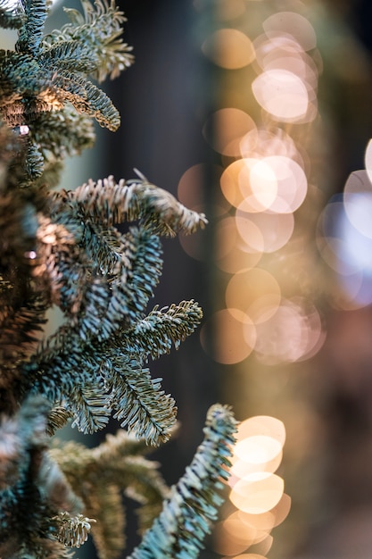 Weihnachtsbaum und Weihnachtsbeleuchtung Bokeh in der. Winterszene.