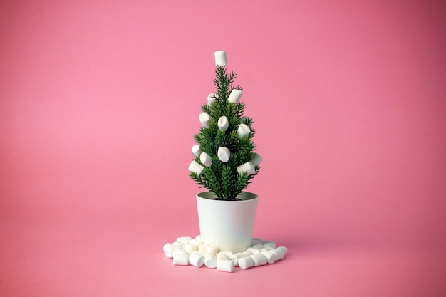 Weihnachtsbaum verziert mit Eibischen anstelle von Spielwaren auf einem rosa Hintergrund.