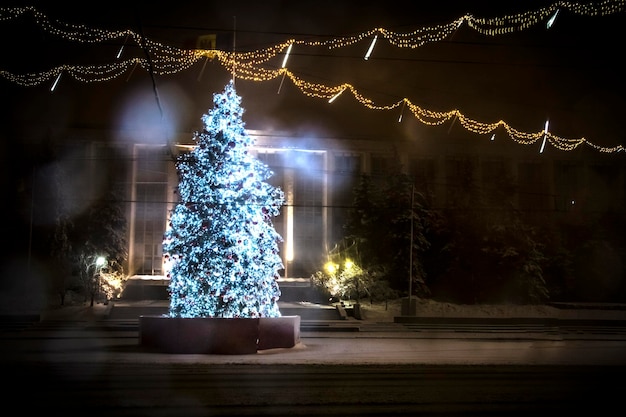 Weihnachtsbaum