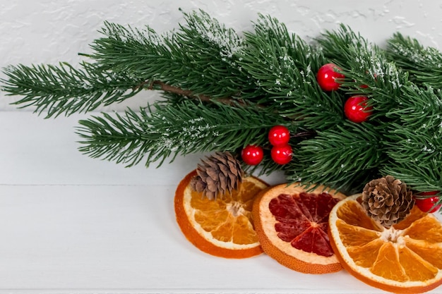 Weihnachtsbaumast verziert mit Schneekegeln und roten Beeren, getrockneten Orangen und Pampelmusen auf weißem Hintergrund