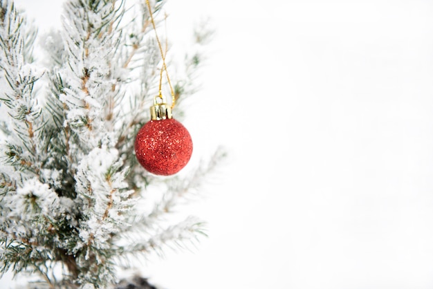 Foto weihnachtsbaumdekoration. kleiner weihnachtsbaum isoliert