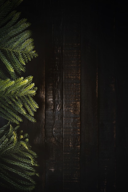 Weihnachtsbaumzweige auf dunklem hölzernem Hintergrund mit Kopienraum. Flach liegen.