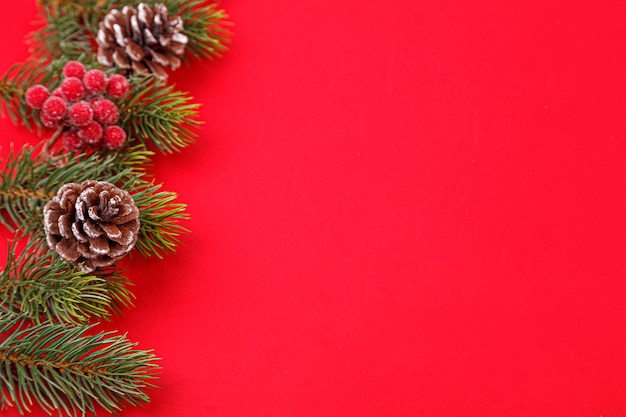 Weihnachtsbaumzweige mit Zapfen auf rotem Grund