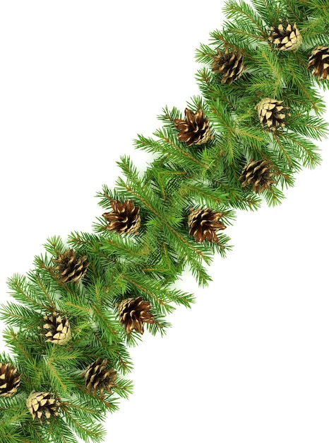 Weihnachtsbaumzweige mit Zapfen
