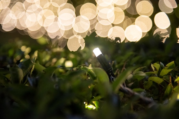 Foto weihnachtsbeleuchtung mit bokeh