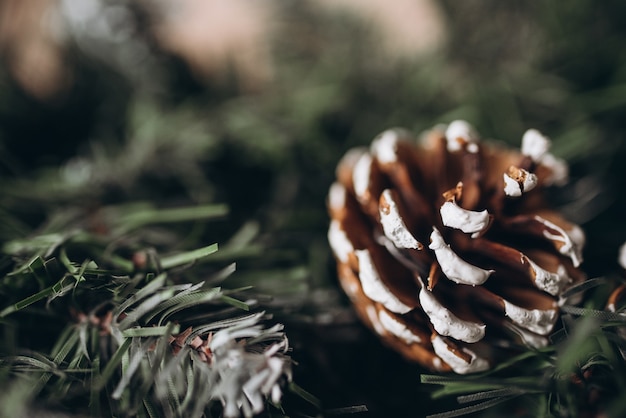 Weihnachtsdekoration auf einem Hintergrund. Neujahr