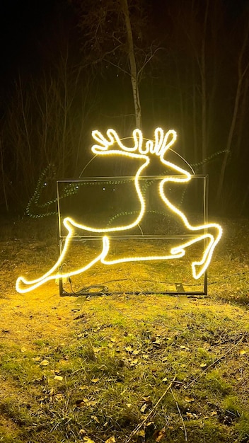 Foto weihnachtsdekoration der beleuchteten silhouette eines hirsches bei nacht